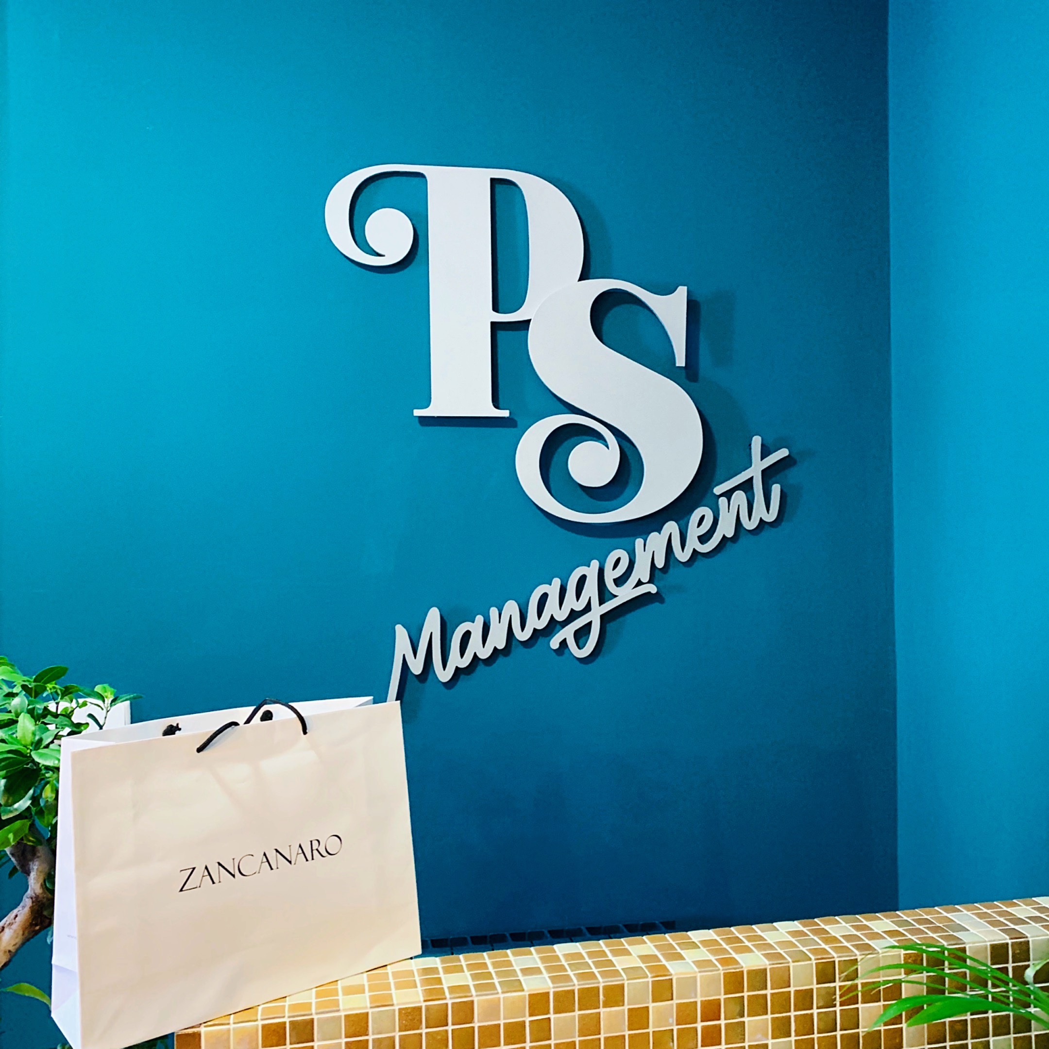 Nuevo PS Agencia de Paquita Salas